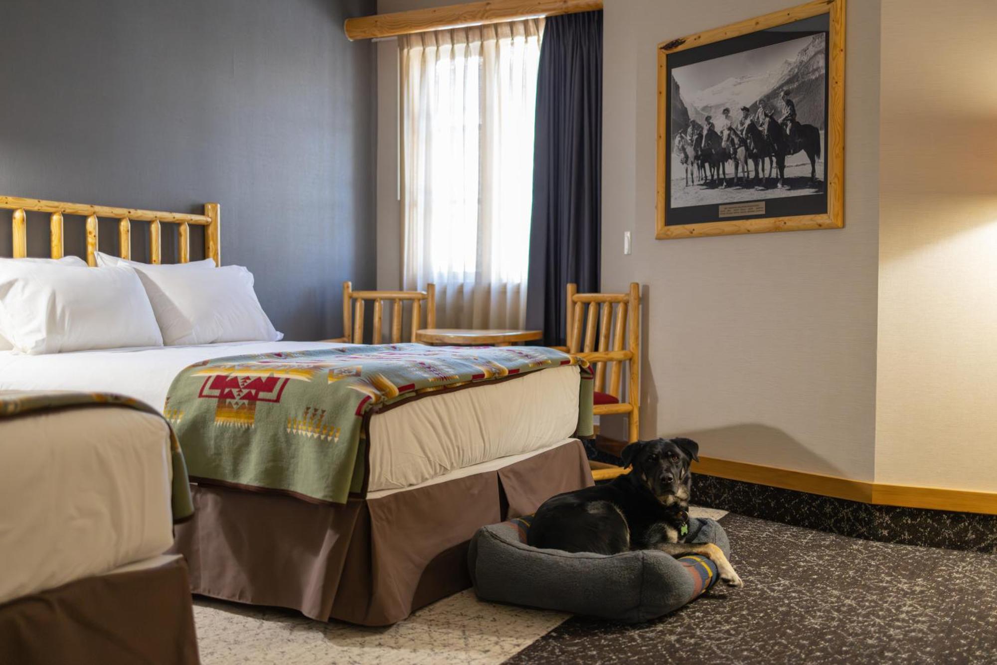 Brewster Mountain Lodge Банф Экстерьер фото